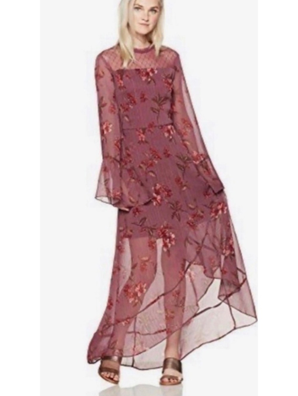 Jolt Floral Long Sleeve Sheer Midi Dress